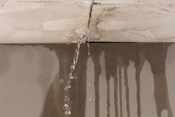 Professional Flood Damage Cleanup technician working in Castle Rock, CO